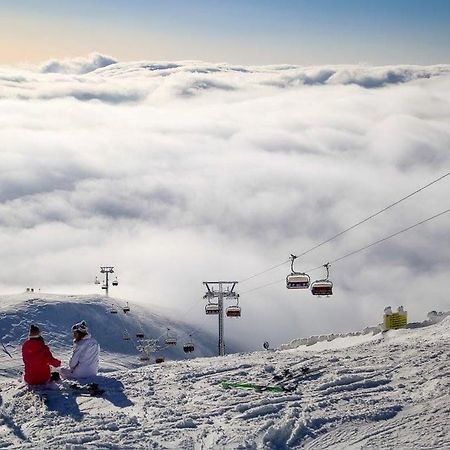 Mountain View Nest Apartman Sinaia Kültér fotó