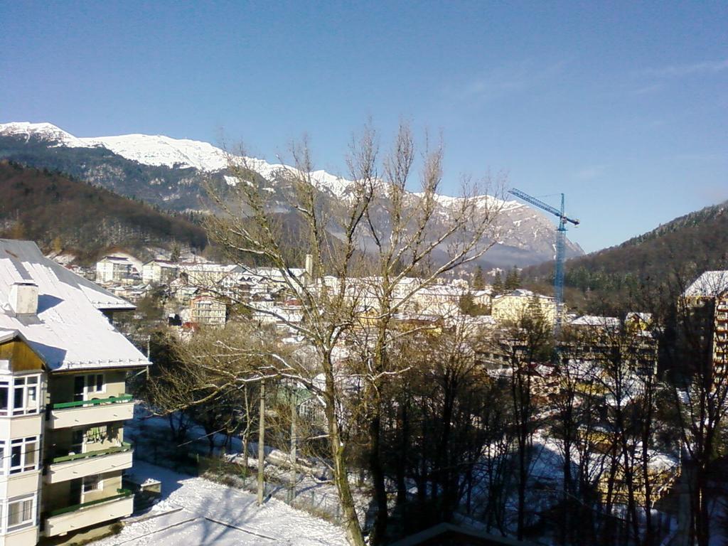 Mountain View Nest Apartman Sinaia Kültér fotó